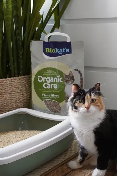 Biokats - Natural Cat Litter