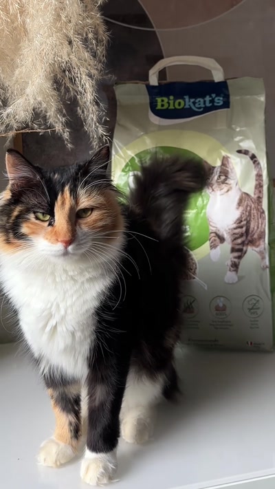 Biokats - Cat Litter Testimonial